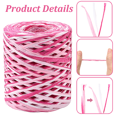 Segment Dyed Raffia Paper Cords for DIY Craft OCOR-WH20020-27A-1