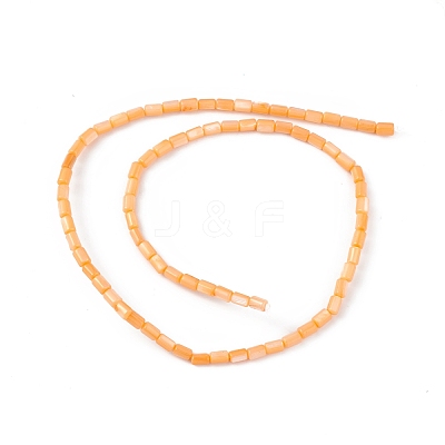 Natural Freshwater Shell Dyed Beads Strands SHEL-M018-12-07-1
