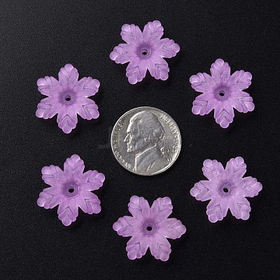 Transparent Acrylic Beads MACR-S373-117-D04-1