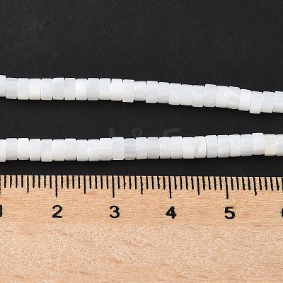 Natural Freshwater Shell Beads Strands X-SSHEL-C013-04B-1