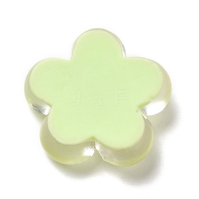 Translucent Resin Cabochons RESI-C034-04-1