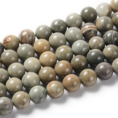 Natural Silver Leaf Jasper Beads Strands G-F627-13-1