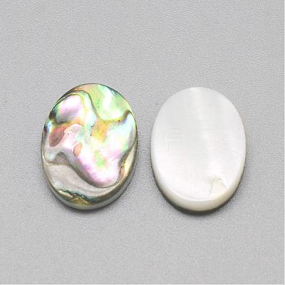 Paua Shell Cabochons SSHEL-R042-20-1