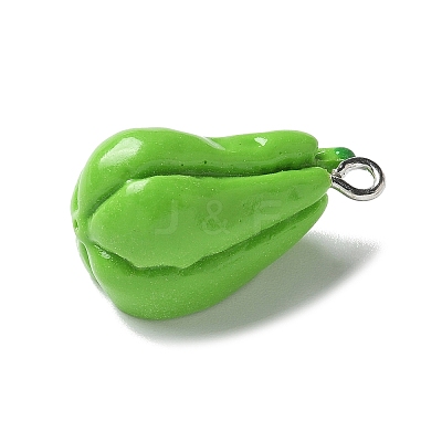 Resin Iron Pendants RESI-D280-15-1