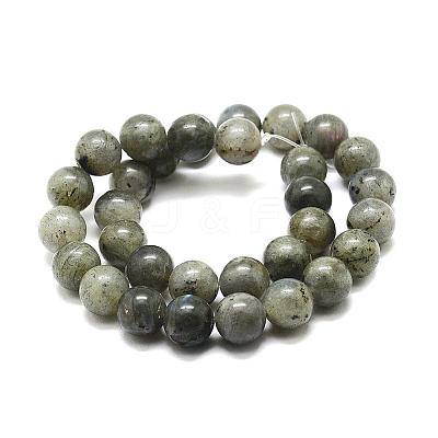 Natural Labradorite Bead Strands G-P256-01-12mm-1
