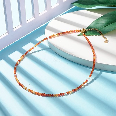 Natural Carnelian Beaded Necklaces for Women NJEW-JN03789-02-1