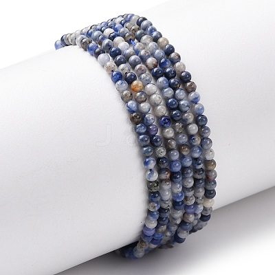 Natural Blue Spot Jasper Beads Strands G-Z116-A02-2mm-1