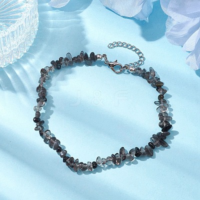 Natural Gemstone Beads Anklets AJEW-AN00583-08-1