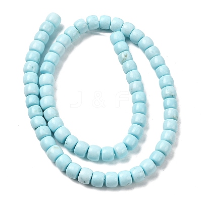 Natural Magnesite Beads Strands G-P598-C01-01B-1