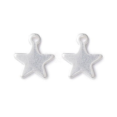 304 Stainless Steel Charms X-STAS-L234-069S-1