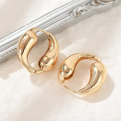 Brass Hoop Earrings for Women LS-EJEW-U041-09G-1