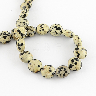 Natural Dalmation Jasper Bead Strands G-R189-14-1
