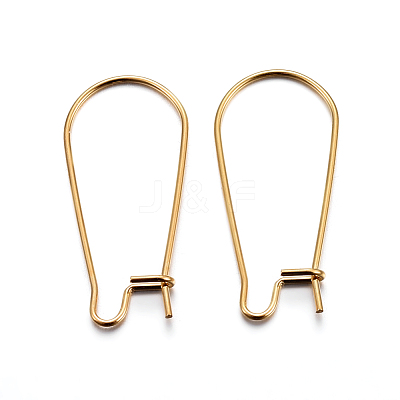 304 Stainless Steel Hoop Earrings X-STAS-P223-01G-01-1