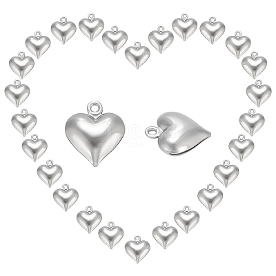 304 Stainless Steel Charms STAS-UN0003-85-1