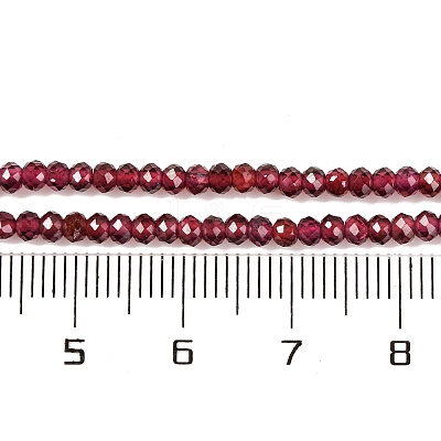 Natural Garnet Beads Strands X-G-F770-D02-02-1