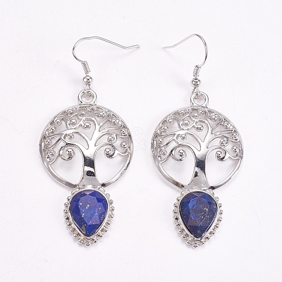 Brass Dangle Earrings EJEW-G240-B04-1