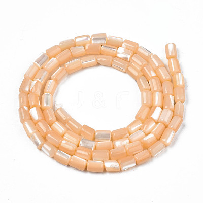 Natural Trochid Shell/Trochus Shell Beads Strands SHEL-N003-26-B06-1