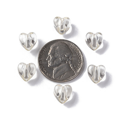 Transparent Acrylic Beads MACR-S373-95-B13-1
