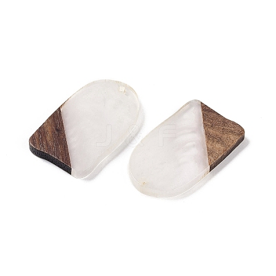 Resin & Wood Pendants WOOD-F015-13C-1