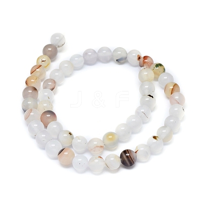 Natural Dendritic Agate Beads Strands G-D0005-18-8mm-1