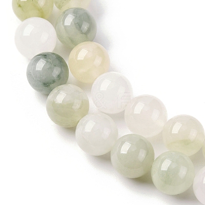 Natural Gemstone Beads Strands G-F808-C02-10mm-1