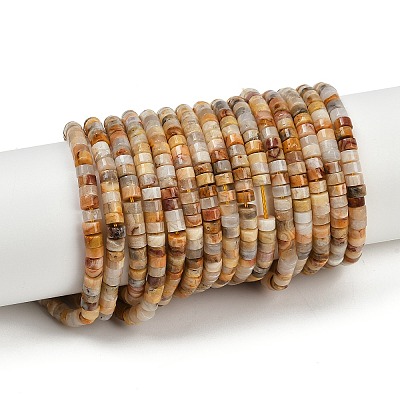 Natural Crazy Agate Beads Strands G-H230-82-1