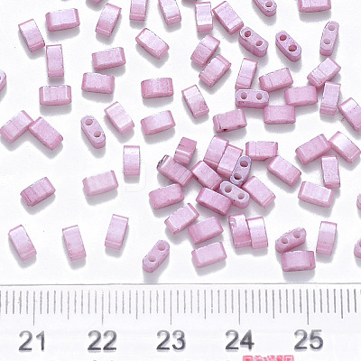 FGB 2-Hole Baking Paint Glass Seed Beads SEED-S031-M-599-1