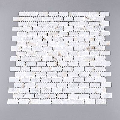 Natural Freshwater Shell Mosaic Tile Cabochons SHEL-Q029-07-1