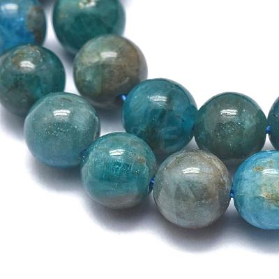 Natural Apatite Beads Strands G-F617-01-10mm-1