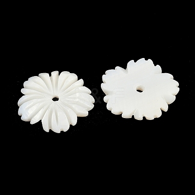 Natural Freshwater Shell Pendants SHEL-K006-43-1