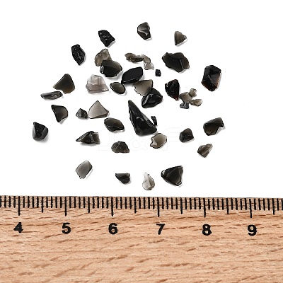 Natural Obsidian Chip Beads G-L453-08-1