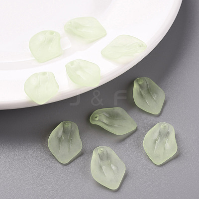 Transparent Frosted Acrylic Pendants MACR-S371-03A-728-1