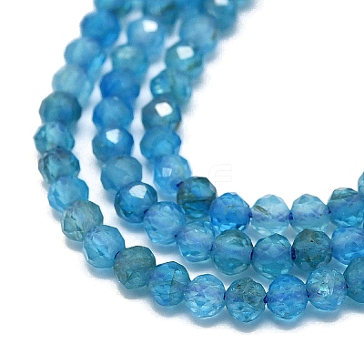 Natural Apatite Beads Strands G-G106-C06-01-1