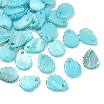 Spray Painted Natural Freshwater Shell Teardrop Charms SHEL-K006-47E-1