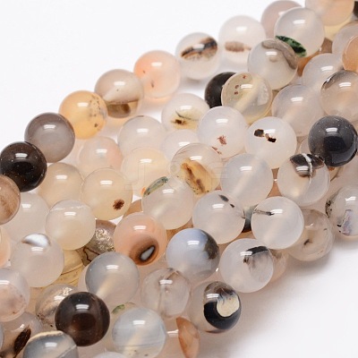 Natural Dendritic Agate Round Beads Strands G-E321C-6mm-01-1