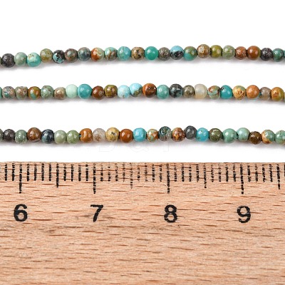 Natural African Turquoise(Jasper) Beads Strands G-K366-G01-2mm-1