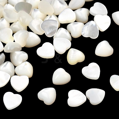 Natural White Shell Cabochons BSHE-H001-05-1