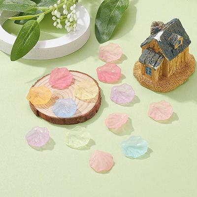 Transparent Frosted Acrylic Pendants X-MACR-S371-01A-1