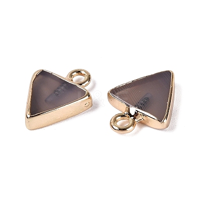Natural Agate(Dyed & Heated) Pendants G-Q606-103G-06-1