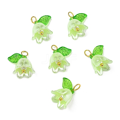 Acrylic Pendants OACR-D012-01E-1