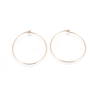 304 Stainless Steel Hoop Earrings Findings X-STAS-F227-54E-G-1