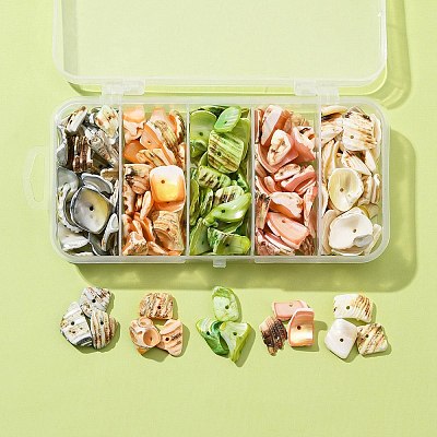 125G 5 Colors Natural Shell Bead Strands BSHE-FS0001-06B-1