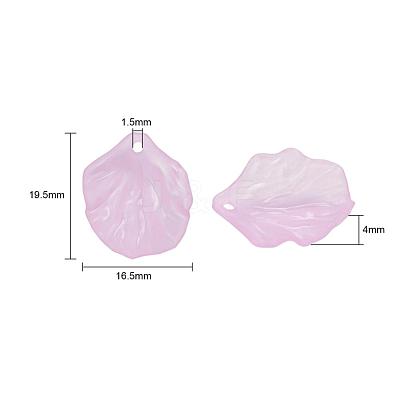 Transparent Frosted Acrylic Pendants X-MACR-S371-01A-1