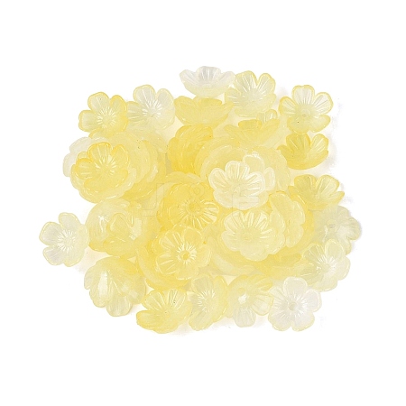 Transparent Plastic Bead Caps KY-Q005-02A-02-1