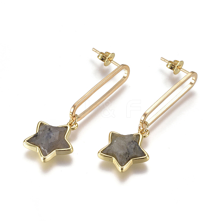 Natural Labradorite Dangle Stud Earrings EJEW-I238-02A-1