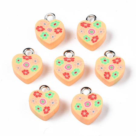 Handmade Polymer Clay Charms CLAY-N006-46C-1