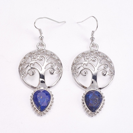 Brass Dangle Earrings EJEW-G240-B04-1