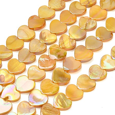 Natural Freshwater Shell Beads Strands SH-CBA93AD-06B-1