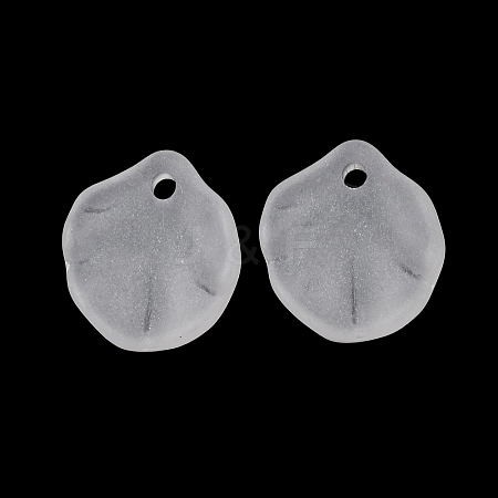 Frosted Acrylic Pendants AC-CBA1E6C-05-1