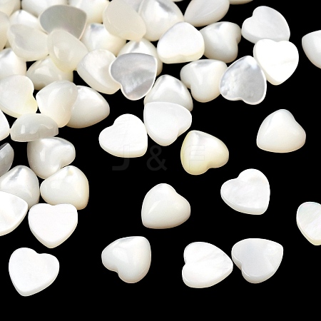 Natural White Shell Cabochons BSHE-H001-05-1